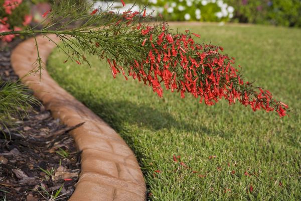 Brick Edging in Provo